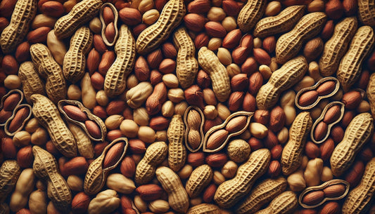 Cacahuètes, pour un lait végétal maison à préparer en petite quantité